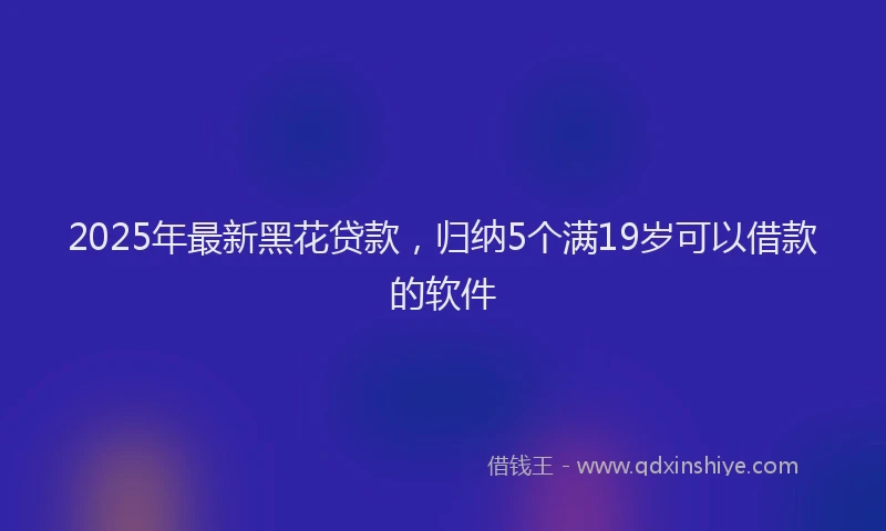 2025年最新黑花贷款，归纳5个满19岁可以借款的软件