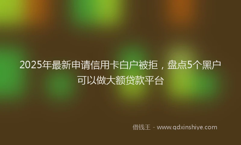 2025年最新申请信用卡白户被拒，盘点5个黑户可以做大额贷款平台