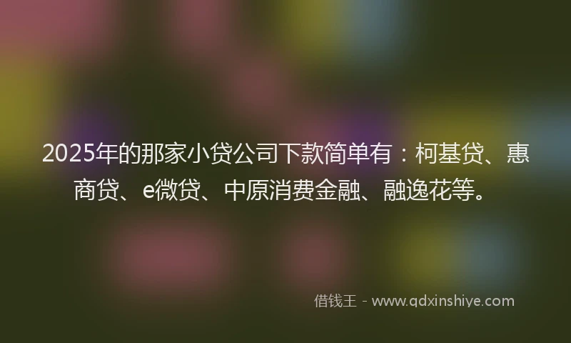 2025年的那家小贷公司下款简单有：柯基贷、惠商贷、e微贷、中原消费金融、融逸花等。
