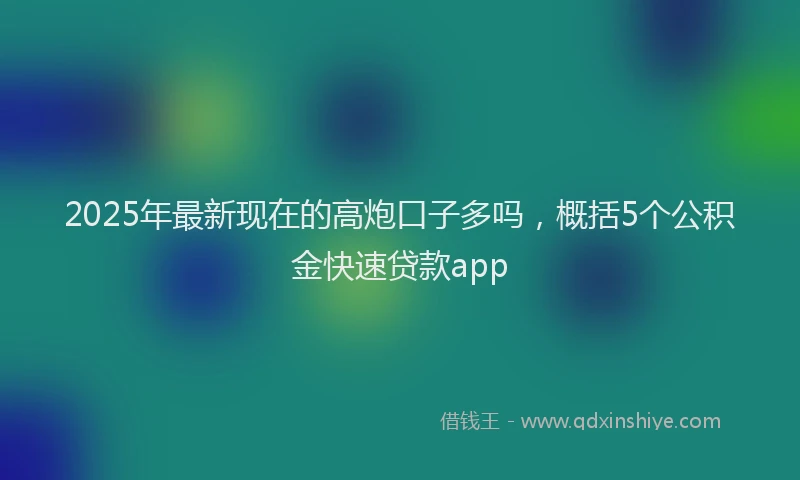 2025年最新现在的高炮口子多吗，概括5个公积金快速贷款app