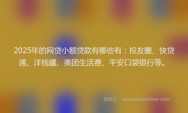 2025年的网贷小额贷款有哪些有：投友圈、快贷通、洋钱罐、美团生活费、平安口袋银行等。