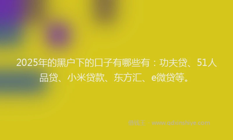 2025年的黑户下的口子有哪些有：功夫贷、51人品贷、小米贷款、东方汇、e微贷等。