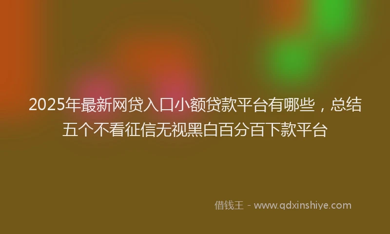 2025年最新网贷入口小额贷款平台有哪些，总结五个不看征信无视黑白百分百下款平台