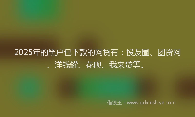 2025年的黑户包下款的网贷有：投友圈、团贷网、洋钱罐、花呗、我来贷等。