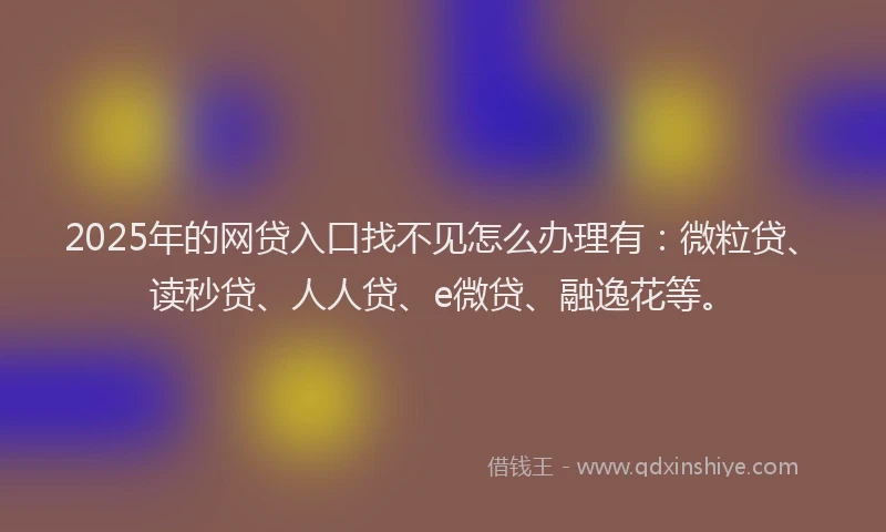 2025年的网贷入口找不见怎么办理有：微粒贷、读秒贷、人人贷、e微贷、融逸花等。