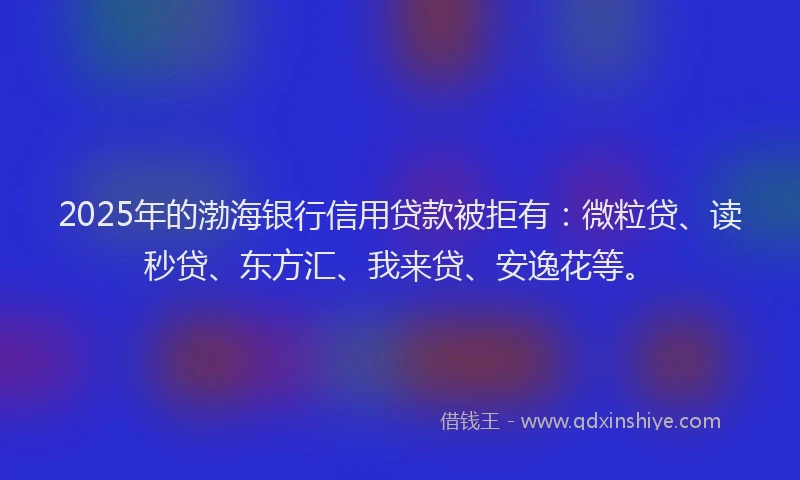 2025年的渤海银行信用贷款被拒有：微粒贷、读秒贷、东方汇、我来贷、安逸花等。