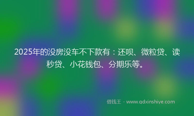 2025年的没房没车不下款有：还呗、微粒贷、读秒贷、小花钱包、分期乐等。