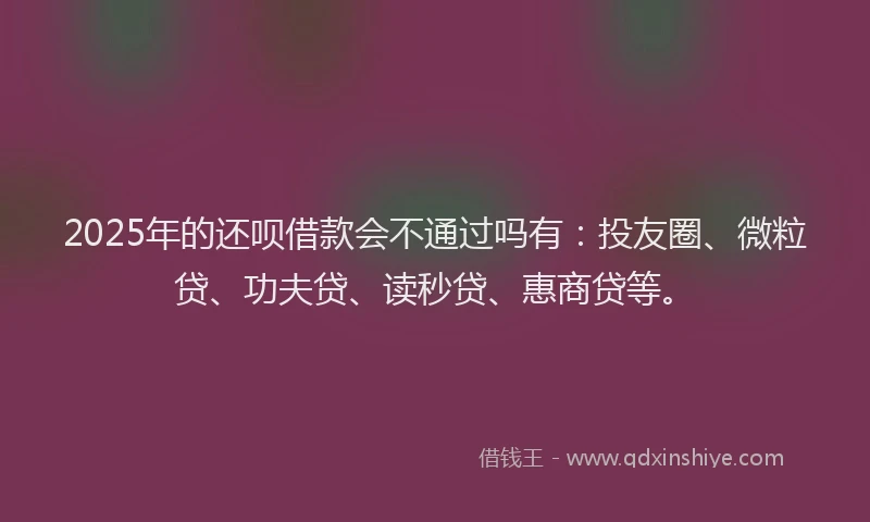 2025年的还呗借款会不通过吗有：投友圈、微粒贷、功夫贷、读秒贷、惠商贷等。