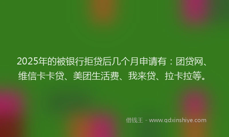 2025年的被银行拒贷后几个月申请有：团贷网、维信卡卡贷、美团生活费、我来贷、拉卡拉等。