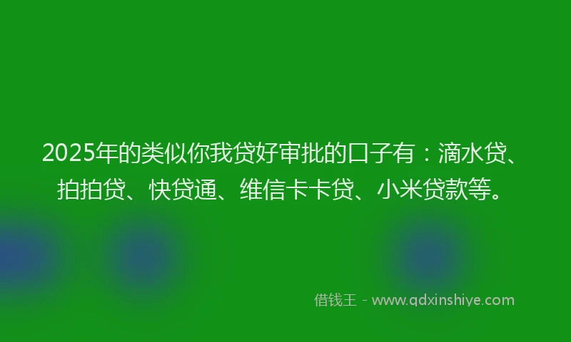 2025年的类似你我贷好审批的口子有：滴水贷、拍拍贷、快贷通、维信卡卡贷、小米贷款等。