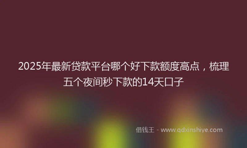 2025年最新贷款平台哪个好下款额度高点，梳理五个夜间秒下款的14天口子