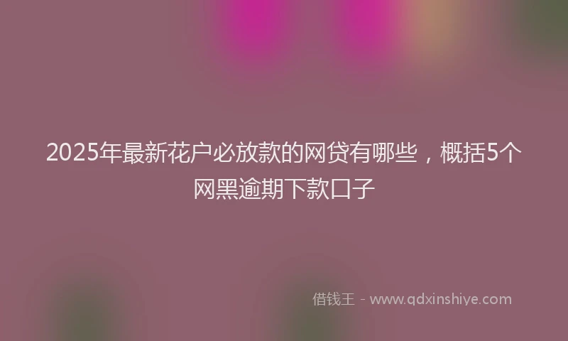 2025年最新花户必放款的网贷有哪些，概括5个网黑逾期下款口子
