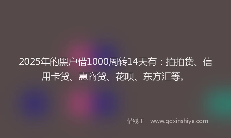 2025年的黑户借1000周转14天有：拍拍贷、信用卡贷、惠商贷、花呗、东方汇等。