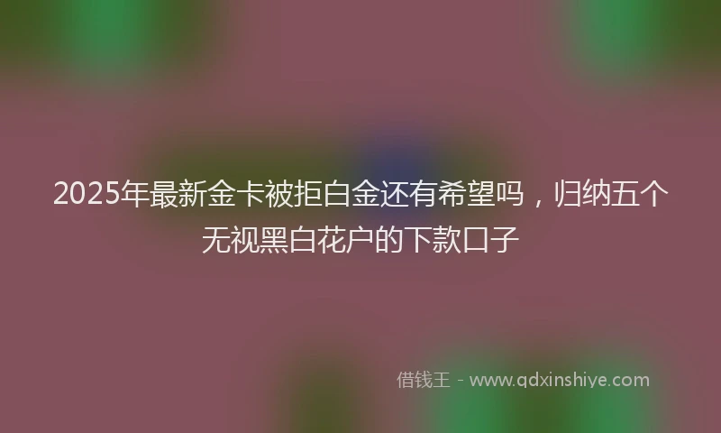 2025年最新金卡被拒白金还有希望吗，归纳五个无视黑白花户的下款口子