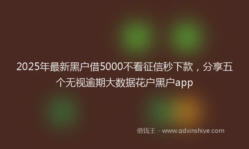 2025年最新黑户借5000不看征信秒下款，分享五个无视逾期大数据花户黑户app