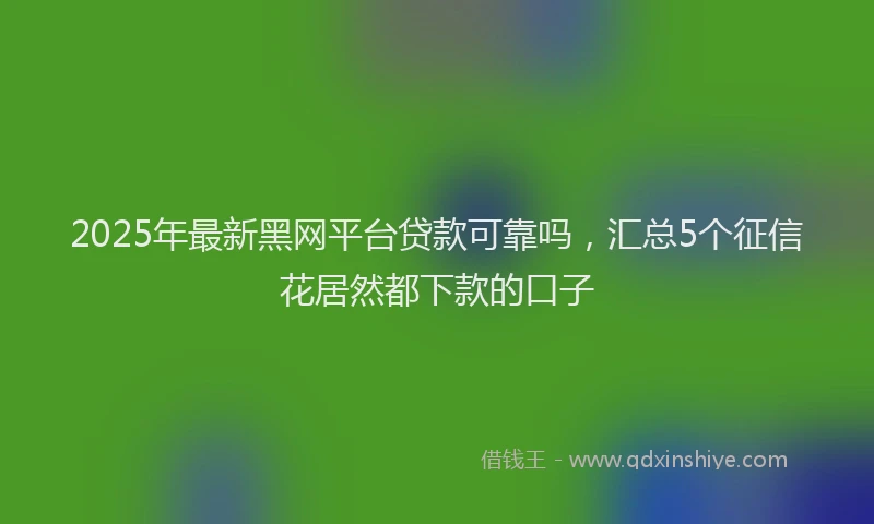 2025年最新黑网平台贷款可靠吗，汇总5个征信花居然都下款的口子