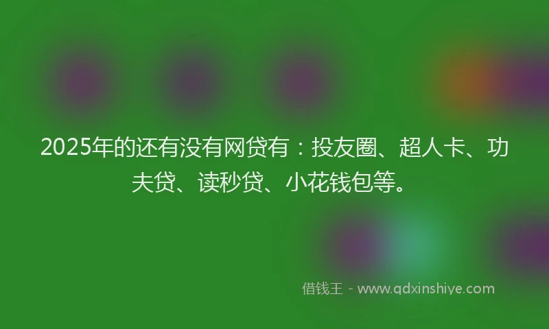 2025年的还有没有网贷有：投友圈、超人卡、功夫贷、读秒贷、小花钱包等。