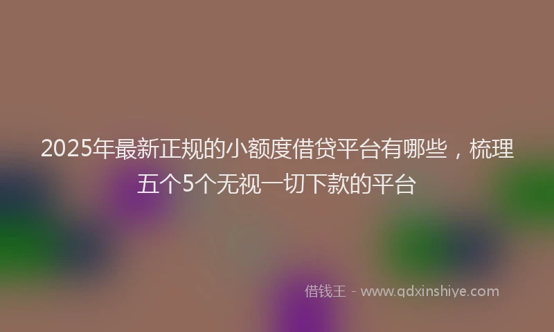 2025年最新正规的小额度借贷平台有哪些，梳理五个5个无视一切下款的平台
