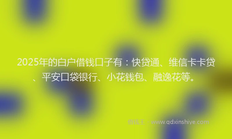 2025年的白户借钱口子有：快贷通、维信卡卡贷、平安口袋银行、小花钱包、融逸花等。