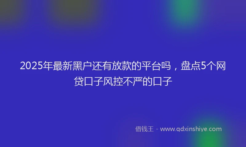 2025年最新黑户还有放款的平台吗，盘点5个网贷口子风控不严的口子