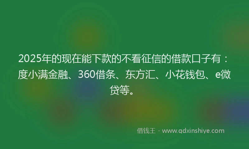 2025年的现在能下款的不看征信的借款口子有：度小满金融、360借条、东方汇、小花钱包、e微贷等。
