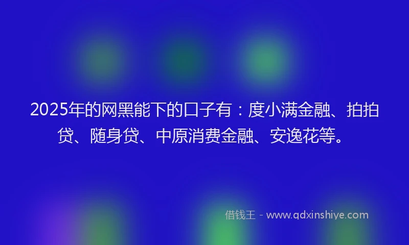 2025年的网黑能下的口子有：度小满金融、拍拍贷、随身贷、中原消费金融、安逸花等。