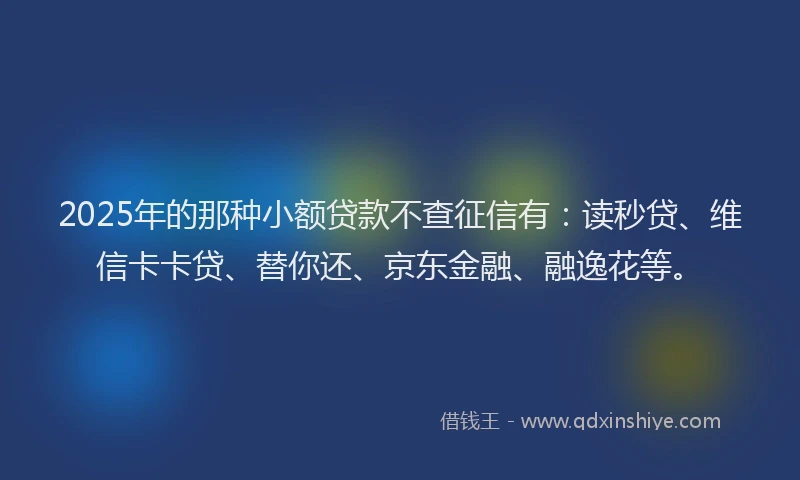 2025年的那种小额贷款不查征信有：读秒贷、维信卡卡贷、替你还、京东金融、融逸花等。