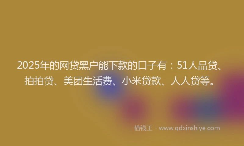 2025年的网贷黑户能下款的口子有：51人品贷、拍拍贷、美团生活费、小米贷款、人人贷等。