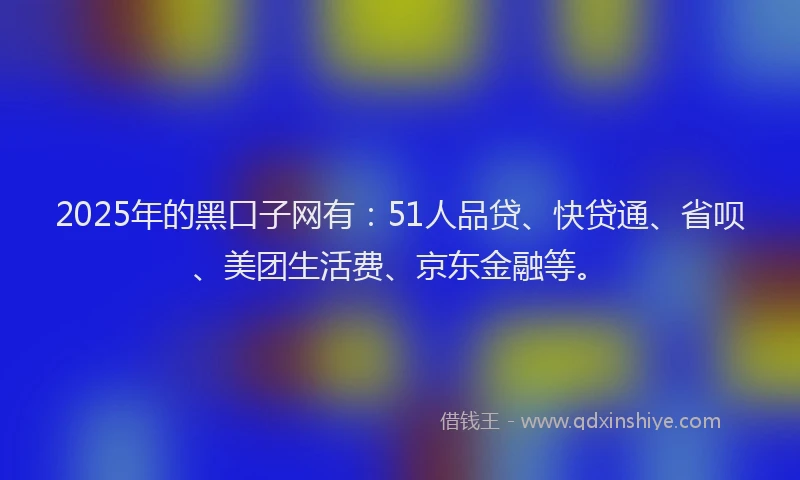 2025年的黑口子网有：51人品贷、快贷通、省呗、美团生活费、京东金融等。