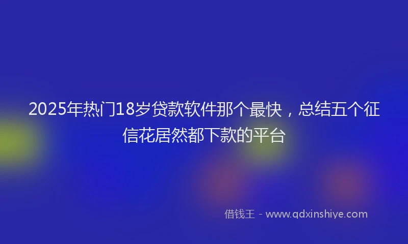 2025年热门18岁贷款软件那个最快，总结五个征信花居然都下款的平台