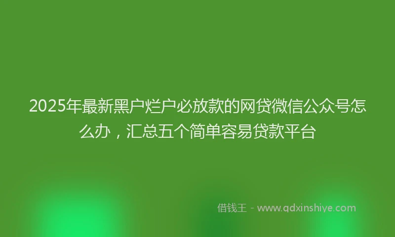 2025年最新黑户烂户必放款的网贷微信公众号怎么办，汇总五个简单容易贷款平台