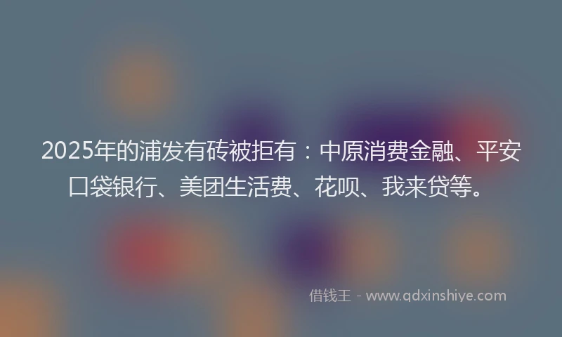 2025年的浦发有砖被拒有：中原消费金融、平安口袋银行、美团生活费、花呗、我来贷等。