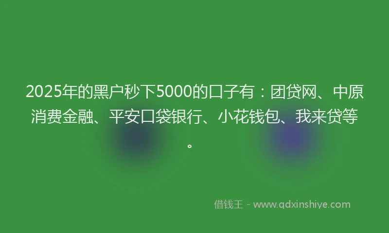 2025年的黑户秒下5000的口子有：团贷网、中原消费金融、平安口袋银行、小花钱包、我来贷等。