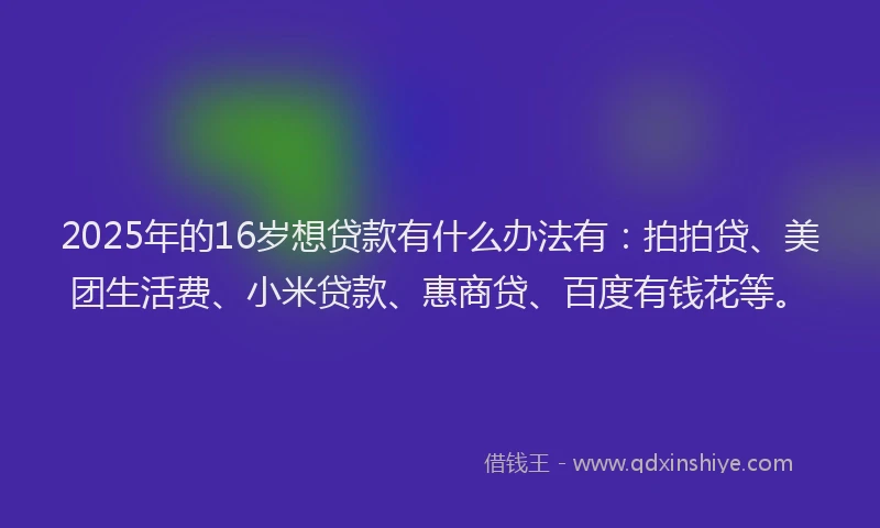 2025年的16岁想贷款有什么办法有：拍拍贷、美团生活费、小米贷款、惠商贷、百度有钱花等。