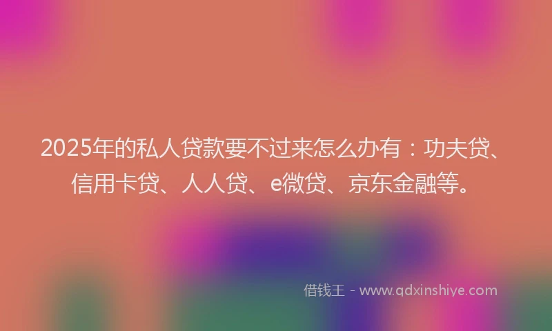 2025年的私人贷款要不过来怎么办有：功夫贷、信用卡贷、人人贷、e微贷、京东金融等。