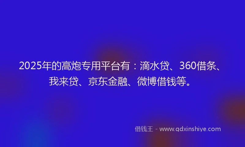 2025年的高炮专用平台有：滴水贷、360借条、我来贷、京东金融、微博借钱等。