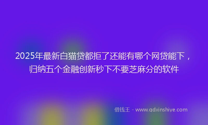2025年最新白猫贷都拒了还能有哪个网贷能下，归纳五个金融创新秒下不要芝麻分的软件