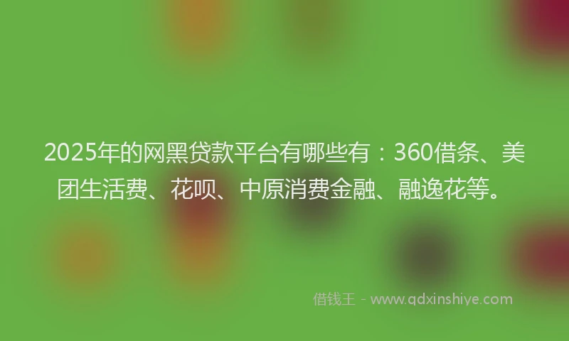 2025年的网黑贷款平台有哪些有：360借条、美团生活费、花呗、中原消费金融、融逸花等。