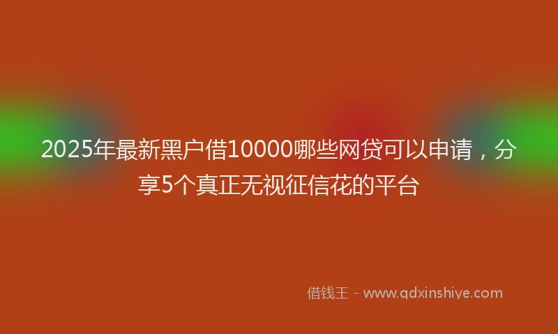 2025年最新黑户借10000哪些网贷可以申请，分享5个真正无视征信花的平台
