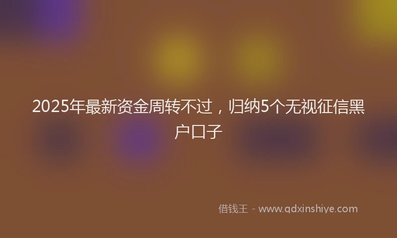 2025年最新资金周转不过，归纳5个无视征信黑户口子
