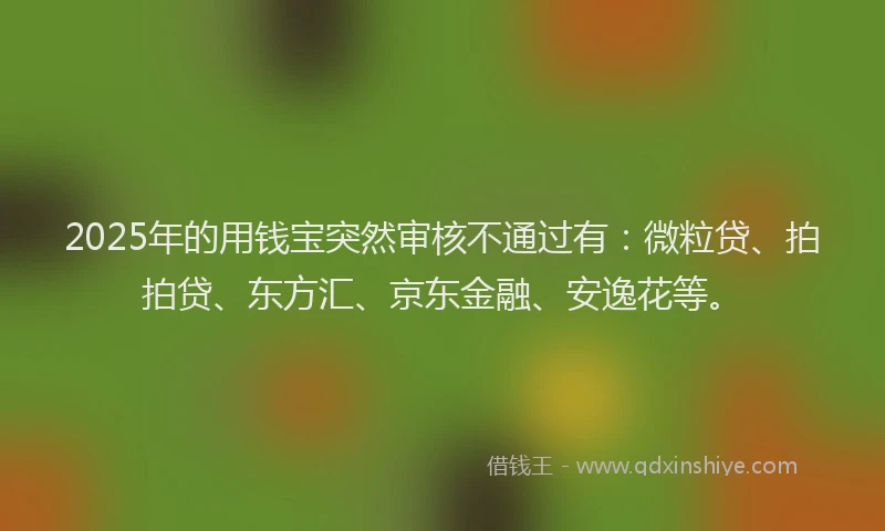 2025年的用钱宝突然审核不通过有：微粒贷、拍拍贷、东方汇、京东金融、安逸花等。
