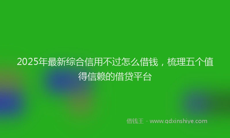2025年最新综合信用不过怎么借钱，梳理五个值得信赖的借贷平台
