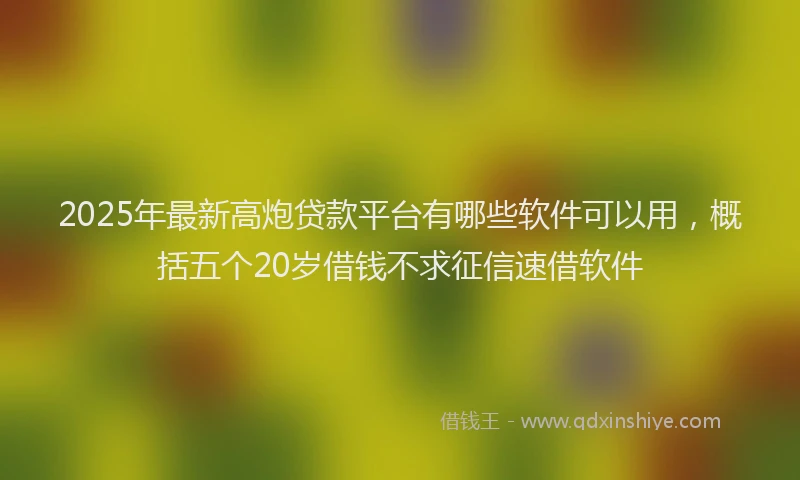 2025年最新高炮贷款平台有哪些软件可以用，概括五个20岁借钱不求征信速借软件