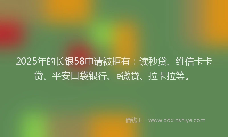 2025年的长银58申请被拒有：读秒贷、维信卡卡贷、平安口袋银行、e微贷、拉卡拉等。