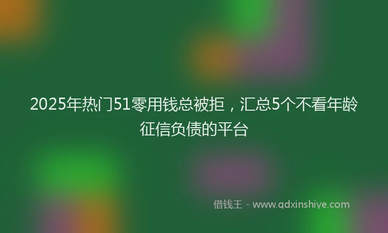 2025年热门51零用钱总被拒，汇总5个不看年龄征信负债的平台