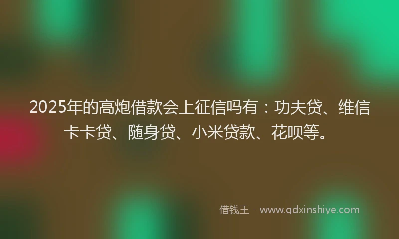 2025年的高炮借款会上征信吗有：功夫贷、维信卡卡贷、随身贷、小米贷款、花呗等。