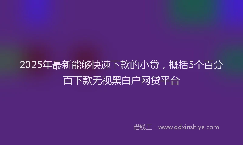 2025年最新能够快速下款的小贷，概括5个百分百下款无视黑白户网贷平台