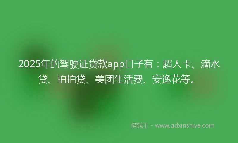 2025年的驾驶证贷款app口子有：超人卡、滴水贷、拍拍贷、美团生活费、安逸花等。