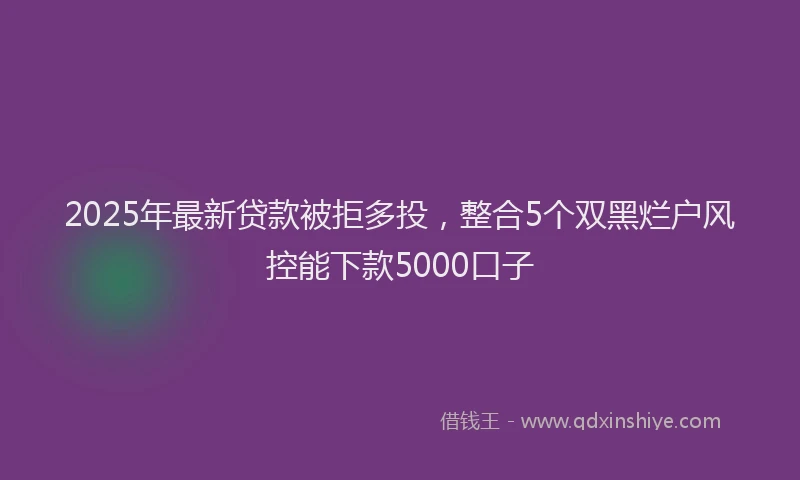 2025年最新贷款被拒多投，整合5个双黑烂户风控能下款5000口子