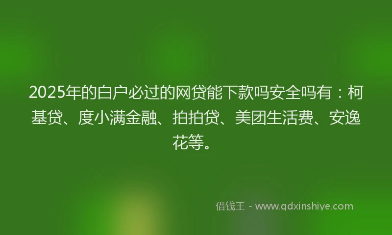 2025年的白户必过的网贷能下款吗安全吗有：柯基贷、度小满金融、拍拍贷、美团生活费、安逸花等。